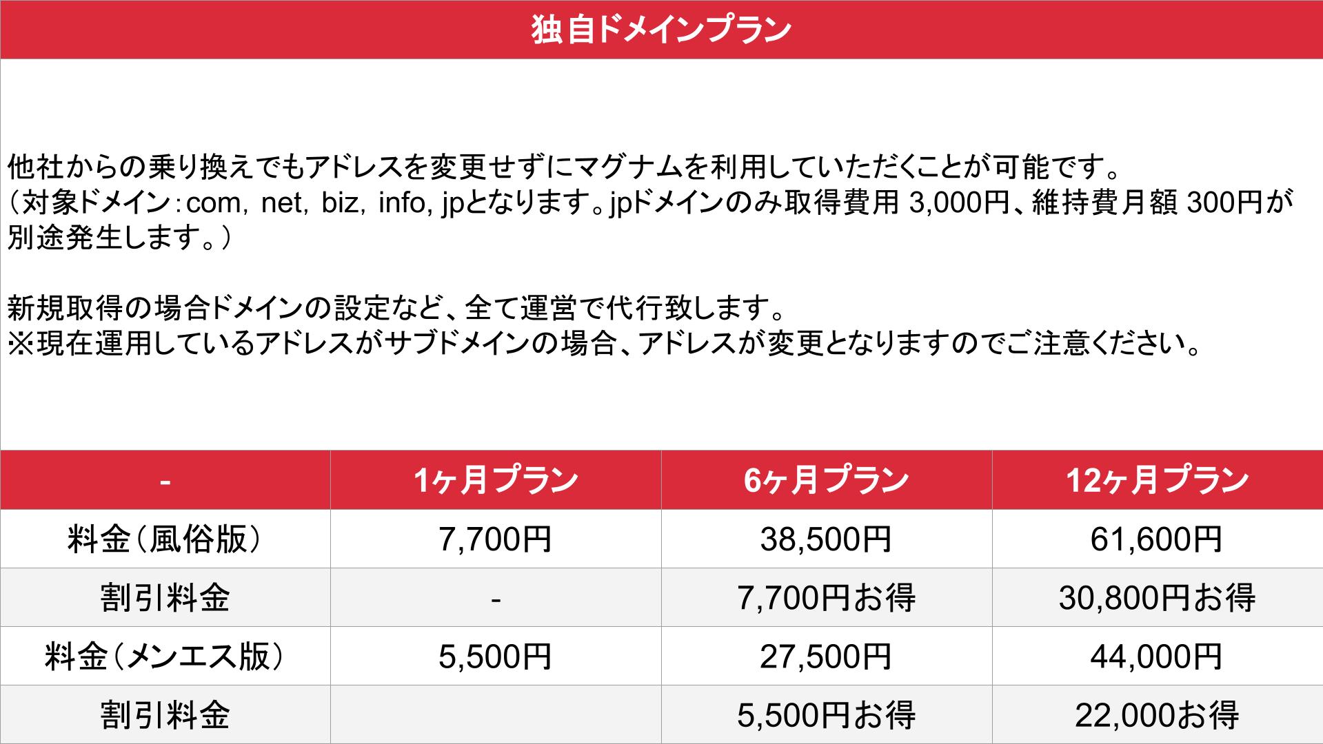 MAGNUM HP_独自ドメインプラン_料金表